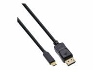 USB Display Kabel - USB-C Stecker zu DisplayPort Stecker - 5m  64125 (4043718303151) adapteris