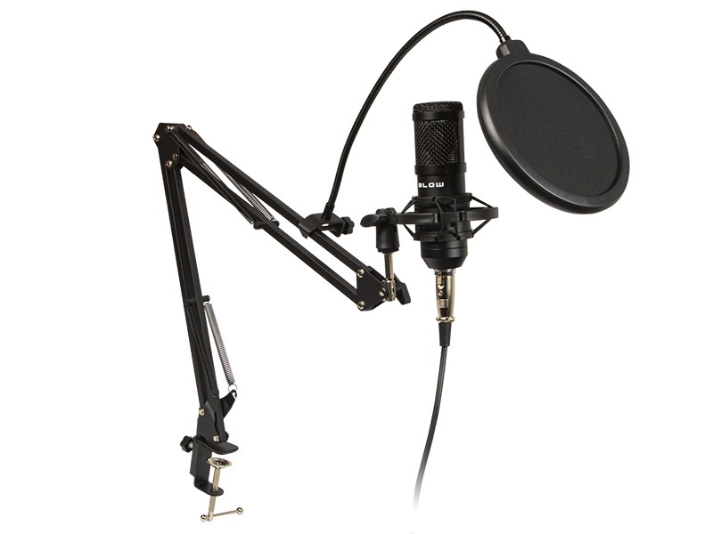 Microphone Recording with handle austiņas