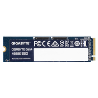 Gigabyte Gen4 4000E - SSD - 500 GB - PCIe 4.0 x4 (NVMe) SSD disks