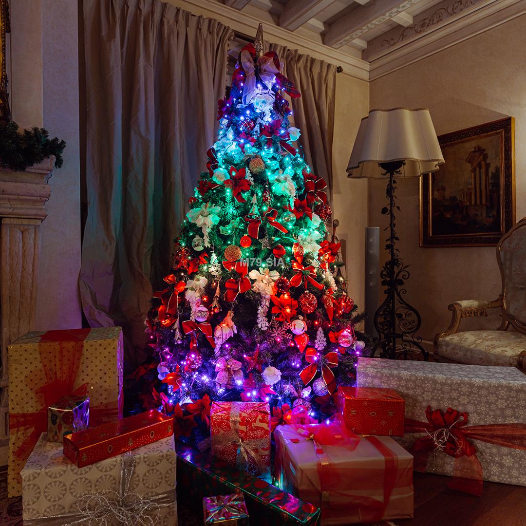 TWINKLY Strings 100 (TWS100STP-BEU) Smart Christmas tree lights 100 LED RGB 8 m Ziemassvētku lampiņas