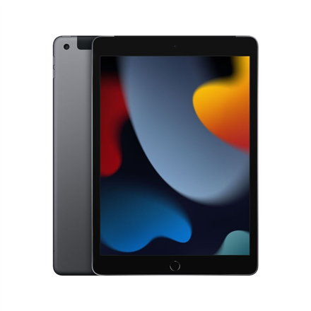 Apple iPad 256 GB 25.9 cm (10.2") Wi-Fi 5 (802.11ac) iPadOS 15 Grey Planšetdators