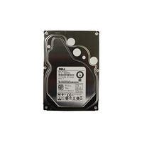 Dell HD 1T ES 7.2K 3.5 T-HR2 E/C  4053162937314 cietais disks