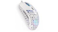 ENDORFY Gaming mouse LIX OWH PMW3325 klaviatūra