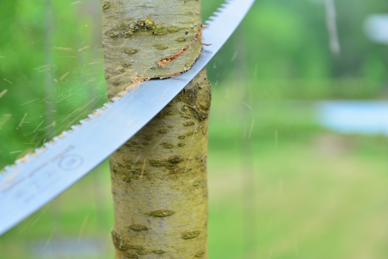Zāģis zaru griešanai 9TPI, 330 mm. Zāģi