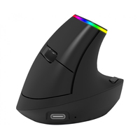 Ordissimo ergonomic wireless mouse Datora pele