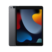 Apple iPad LTE 64 GB 25.9 cm (10.2") 3 GB Wi-Fi 5 (802.11ac) iPadOS 15 Grey 0194252521342 Planšetdators