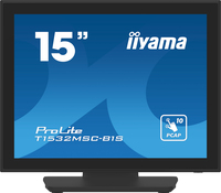 IIYAMA 38.0cm (15