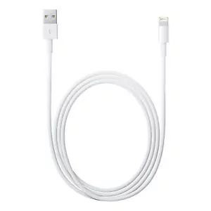 Apple Lightning to USB Cable (1m) USB kabelis