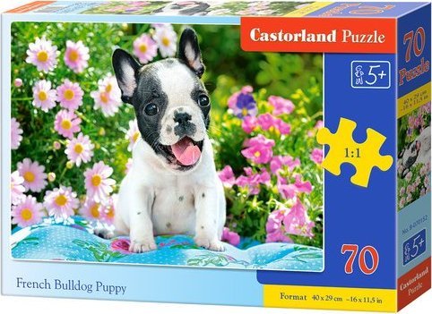 Castorland Puzzle 70 French bulldog puppy CASTOR puzle, puzzle