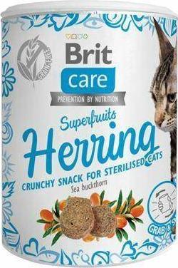 Brit Brit Care Snack 100g Herring, przysmak dla kota 104165 (8595602555710) kaķu barība