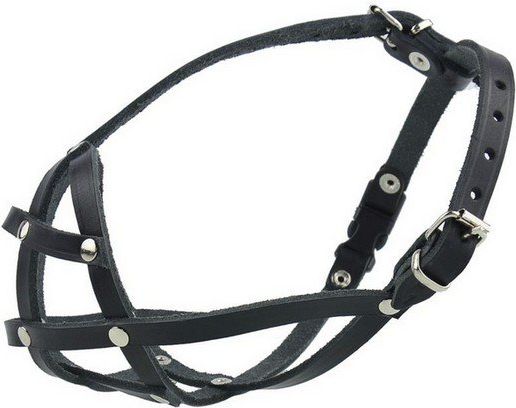 Champion Leather muzzle for French Bulldog 2 BF