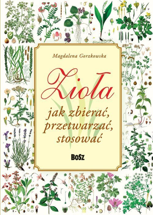 Ziola. Jak zbierac, przetwarzac, stosowac 490452 (9788375766554)