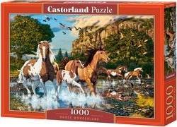 Castorland Puzzle 1000 Konie CASTOR 469899 (5904438104789) puzle, puzzle