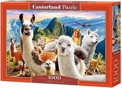 Castorland Puzzle 1000 Lamy CASTOR 469894 (5904438104758) puzle, puzzle