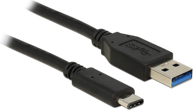 Delock USB Cable Type-C(M)-AM 3.1 1m black USB kabelis