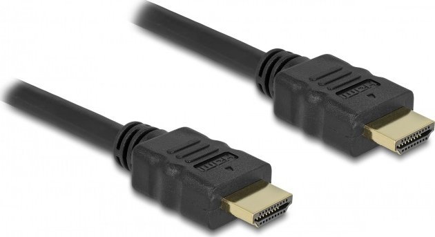 Delock Cable High Speed HDMI with Ethernet HDMI A male > HDMI A male 4K 2m kabelis video, audio