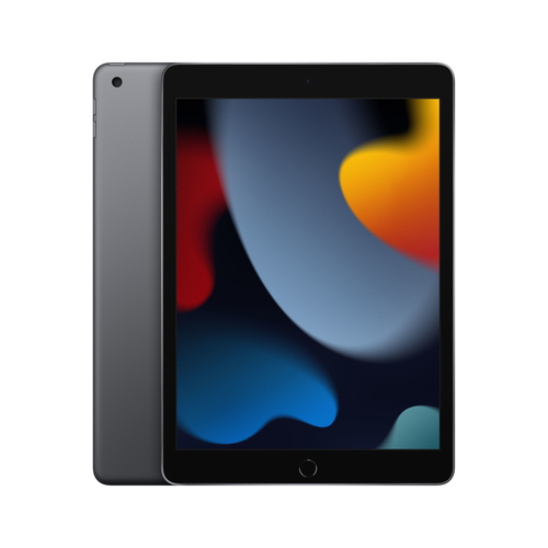 Apple iPad 256 GB 25.9 cm (10.2") Wi-Fi 5 (802.11ac) iPadOS 15 Grey 0194252516393 Planšetdators