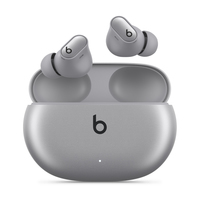 APPLE BEATS STUDIO BUDS + TRUE WL NOISE CL EARBUDS - COSMIC SILVER austiņas