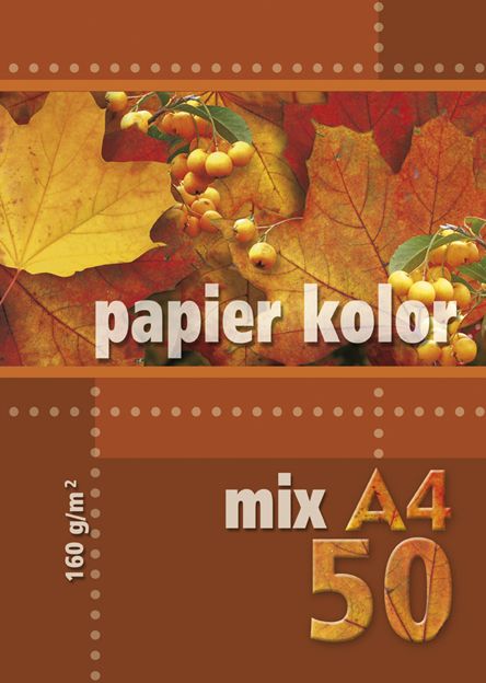 Kreska Papier ksero A4 160g mix kolorow 50 arkuszy KRES0179 (5905824900350) papīrs