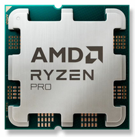 AMD Ryzen 3 PRO 8300G MPK 12 units (100-100001187MPK) 8592978551810 CPU, procesors