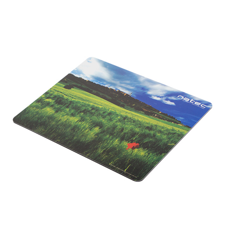 Photo Mouse Pad Italy peles paliknis