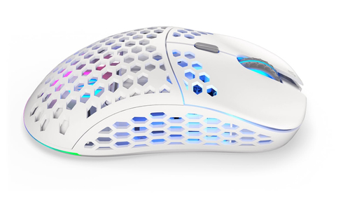 ENDORFY Gaming mouse LIX OWH Wireless PM klaviatūra