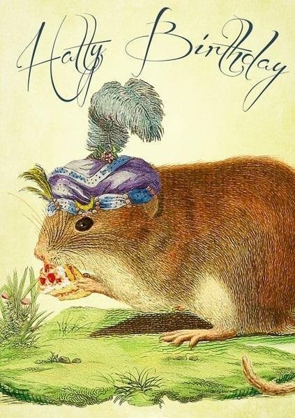 Madame Treacle Karnet B6 z koperta Urodziny Myszka w kapeluszu 498568 (5060678682002)