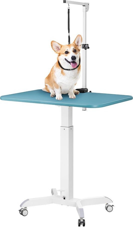 Mozos Regulowane ramie Groomerskie Psow Pet Arm PET-ARM (5903738183876) aksesuārs suņiem