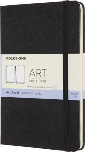 Moleskine Art Medium Sketchbook