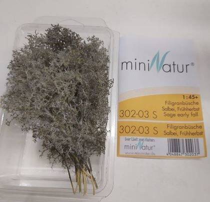MiniNatur MiniNatur: Filigranowy wczesnojesienny krzew medrzec 2010711 (4048847302037) Rotaļu auto un modeļi