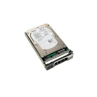 Dell HD 600G SAS6 10 2.5 T-12SE E/C  5712505321638 cietais disks