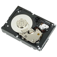 Dell HD,2T,NL6,7.2K,3.5,S-MSKP,E/C  5711045286100 cietais disks