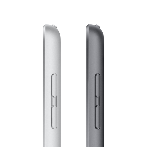 Apple iPad 10.2" 9th Gen Space Grey, Retina IPS LCD, A13 Bionic, 3 GB, 256 GB, 4G, Wi-Fi, 12 MP, 8 MP, Bluetooth, 4.2, iPadOS, 15, 1620 x 21 Planšetdators