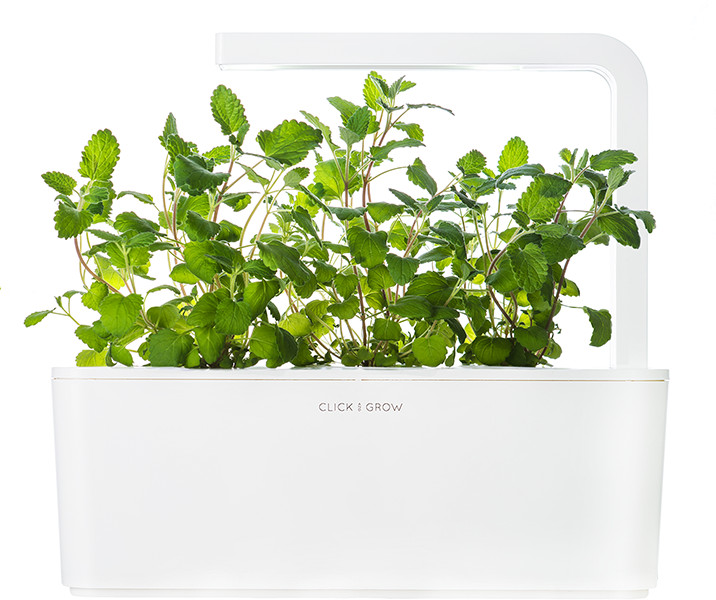 Click & Grow Smart Garden uzpilde Kaķumētra 3gb.