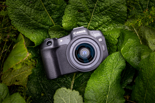 Canon EOS R8 Body, 24.2 MP, 6000 x 4000 pixels, CMOS, 4K Ultra HD, Touchscreen, Black Digitālā kamera