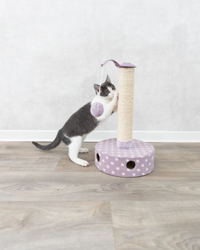 Trixie Drapak stojacy Junior, flausz, 26  times  47 cm, liliowy TX-42930 (4011905429304) piederumi kaķiem