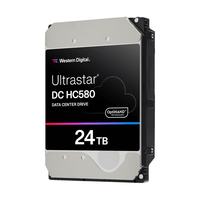 WESTERN DIGITAL ULTRASTAR DC HC580 24TB cietais disks