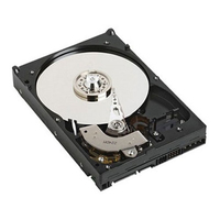 Dell HD, 1TB, 512b, Enterprise   SATA, 7.2K RPM, 3.5 Inch,  5704174228769 cietais disks