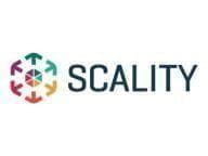 Scality RING Engineer Professional Services - Lizenz Serveru aksesuāri