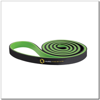 HMS Premium GU06 17 mm 2-colour exercise rubber (Green) Sporta aksesuāri