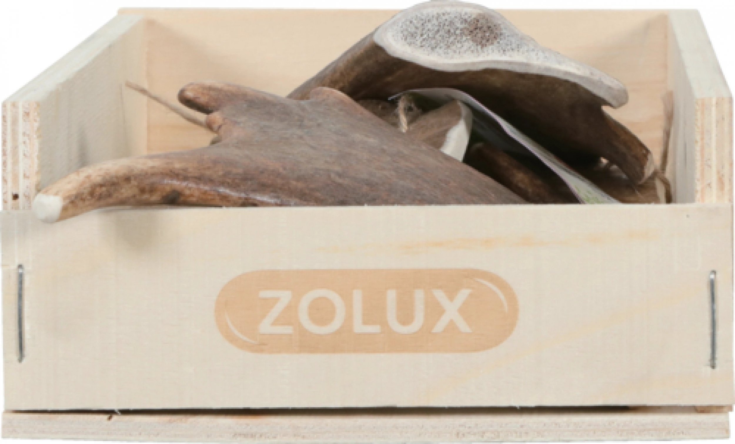 Zolux ZOLUX Poroze daniela EASY L 482329 (3336024823293)