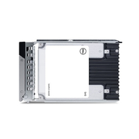 960GB SSD SATA RI 6Gbps 512e 2.5in Hot-Plug, CK