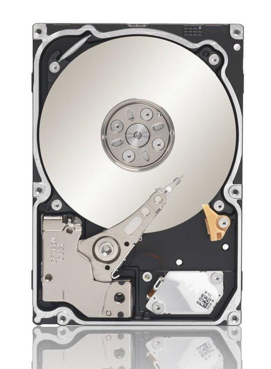 1TB 64MB 7200RPM SATA 6Gb/s ST91000640NS-RFB (5711783348214)