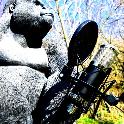 Monkey Banana Bonobo Black Table microphone 4260274231081 231081 (4260274231081) Mikrofons