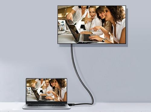 Equip DisplayPort - DisplayPort Cable 1m Black (119331) kabelis video, audio