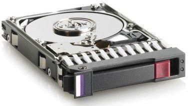 300Gb 10K RPM SAS 2.5 Inch 713958-001 (4054842601839)