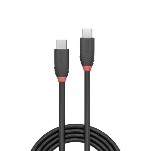 Lindy USB 3.1 Kabel Typ C/C 3A Black Line M/M 0.5m USB kabelis