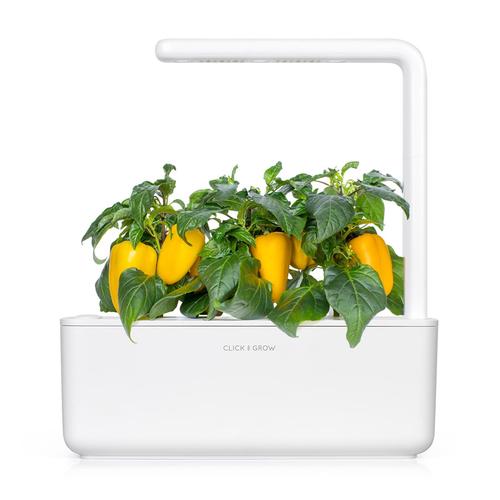 Click And Grow refill yellow pepper 3-pack