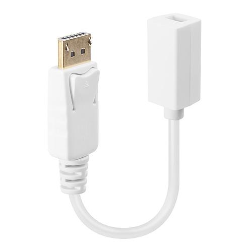 Lindy DisplayPort Male to Mini DisplayPort Female Adapter Cable 4002888410601 41060 (4002888410601)