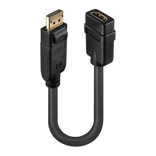 DP an HDMI Adapter Classic DisplayPort M an HDMI F